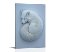 A Snowy White Arctic Fox Lies Curled on A Frosty Gray-blue Backdrop, Its Tail Forming A Perfect Spiral of Winter Peace. Fashionable Wall Decor - Hanging Art Poster And Mural08x12inch(20x30cm)