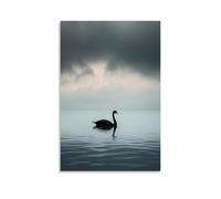 A Solitary Black Swan Gliding Across Unseen Waters, Framed Against A Gentle Storm-gray Sky Heavy with Secrets. Fashionable Wall Decor - Hanging Art Poster And Mural16x24inch(40x60cm)