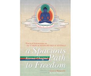 A Spacious Path to Freedom: Practical Instructions on the Union of Mahamudra and Atiyoga