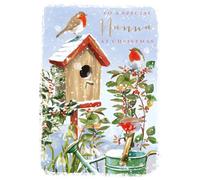A Special Nanna at Christmas Festive Robin Christmas Card Xmas Greeting Cards X15430GH