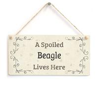 A Spoiled Beagle Lives Here - Beautiful Home Accessory Gift Sign