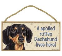 A spoiled rotten Dachshund (Black and Tan) lives here PVC sign plaque