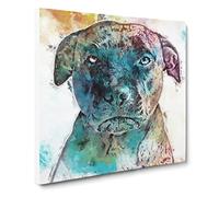 A Staffordshire Bull Terrier Dog Canvas Print | Gallery Wrapped 30mm Frame Wall Art | 14x14 inches | Ready to Hang | Abstract Animals Picture | Living Room Bedroom Lounge Office