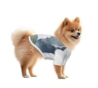 A Stone Falling from the Sky Mesh Dog Shirt - Lightweight & Breathable, Quick Dry Stretchy Pet T-Shirt Vest for Small Dogs