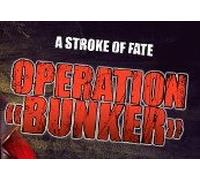 A Stroke of Fate: Operation Bunker Steam CD Key