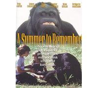 A Summer to Remember