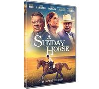 A Sunday Horse