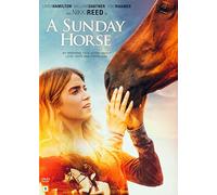 A Sunday Horse