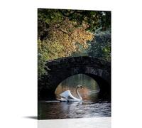A Swan Floating Beside A Stone Bridge, Its Wings Catching Subtle Morning Oil Light Wall Art Mural Modern Decoration Hanging Art Poster 24x36inch(60x90cm)