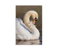 A Swan Preens Its Feathers, Moving Gracefully Fashionable Wall Decor - Hanging Art Poster And Mural16x24inch(40x60cm)