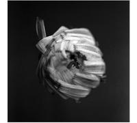 A Swarm Of The Sun - An Empire [VINYL]