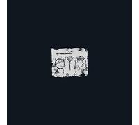A Swarm Of The Sun - The Woods [VINYL]