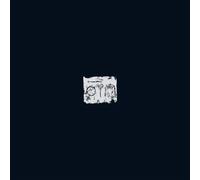 A Swarm Of The Sun - The Woods [VINYL]