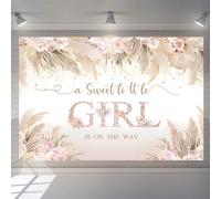 A Sweet Little Girl is on the Way Baby Welcome Backdrop Banner Pink Flowers Baby Shower Photography Background Baby Girl Welcoming Party Decorations Party Banner Fabric Sign Poster
