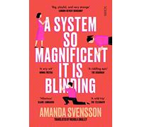 A System So Magnificent It Is Blinding : longlisted for the International Booker Prize