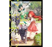 A Tale of the Secret Saint ZERO (Light Novel) Vol. 3