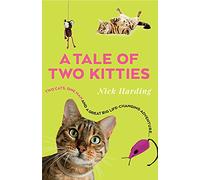 A Tale of Two Kitties: 2 cats, 1 man and a great big life-changing adventure