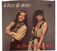 A Taste Of Honey - I'll Try Something New