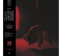 Knocked Loose - A Tear In The Fabric of Life [VINYL]