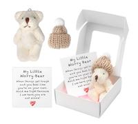 A Teddy Bear Hug in a Box for Women, Mini Plush Pocket Hug Love Little Fluffie Stuffies Worry Bear Doll Toy Small Cute Tiny Teddy Positive Gift for Graduation Birthday Girl Boy Children (White)