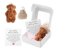 A Teddy Bear Hug in a Box for Women, Mini Plush Pocket Hug Love Little Fluffie Stuffies Worry Bear Doll Toy Small Cute Tiny Teddy Positive Gift for Graduation Birthday Girl Boy Children (Coffee)