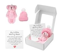 A Teddy Bear Hug in a Box for Women, Mini Plush Pocket Hug Love Little Fluffie Stuffies Worry Bear Doll Toy Small Cute Tiny Teddy Positive Gift for Graduation Birthday Girl Boy Children (Pink)