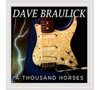 A Thousand Horses by Dave Braulick
