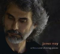 A Thousand Shining Pieces