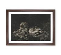A Tiger by George Stubbs Framed Print | A2 Walnut Framed Wall Art | Ready to Hang | Modern Animal Picture | Living Room Bedroom Lounge Office