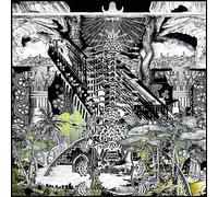 A Time Between Birth and Chaos [VINYL]