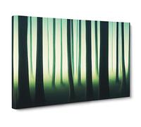 A Timeless Forest Canvas Print | Gallery Wrapped 30mm Frame Wall Art | 30x20 inches | Ready to Hang | Contemporary Landscape Picture | Living Room Bedroom Lounge Office