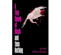 A Tiny Speck of Black and Then Nothing : A dazzling slow-burn debut set in the underworld of Osaka's nightlife