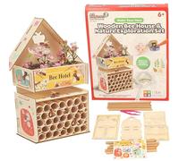 A to Z World of Discovery DIY Wooden Bee House and Nature Exploration Set, STEM Educational Toy, Ages 6+