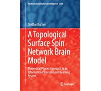 A Topological Surface Spin Network Brain Model: Theoretical Physics Approach to an Information Processing and Learning System (Studies in Computational Intelligence, 1304)