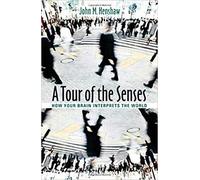 A Tour of the Senses - How Your Brain Interprets the World
