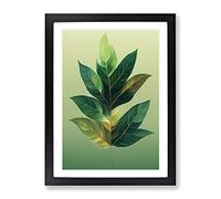 A Traditional Leaf Framed Wall Art Print A2 Black