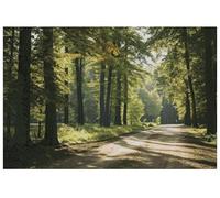 A Trail in Spring Woods Counted Cross Stitch Kits, 14count, 300x200stitch, 54x36cm, Total Cotton Quiet Landscape Counted Cross Stitch kit