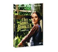 A Tree Grows In Brooklyn (1945) All Region DVD (Region 1,2,3,4,5,6 Compatible)