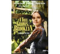 A Tree Grows In Brooklyn (1945) All Region DVD (Region 1,2,3,4,5,6 Compatible)