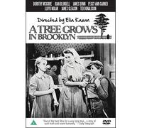 A Tree Grows In Brooklyn [DVD]