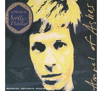 A Tribute To Scott Walker - angel of ashes