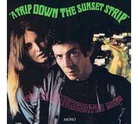 A Trip Down the Sunset Strip