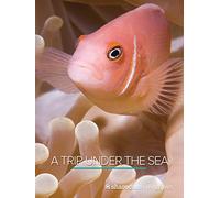 A Trip Under the Sea