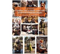 A Troubled Town on Wander Down Creek Stories From Around the Campfire (Build Universes)