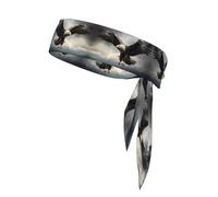 A vicious eagle Sports headband for outdoor running, mountain climbing and cycling forehead protection