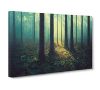 A Victorious Summer Forest Canvas Print | Gallery Wrapped 30mm Frame Wall Art | 30x20 inches | Ready to Hang | Contemporary Landscape Picture | Living Room Bedroom Lounge Office