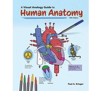 A Visual Analogy Guide to Human Anatomy