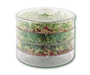 A. Vogel BioSnacky Germinator Large