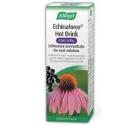 Echinaforce Hot Drink Cold & Flu 100ml