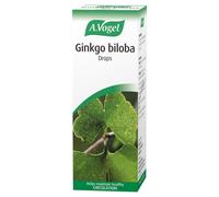 A. Vogel Ginkgo Biloba Drops – Food Supplement – Fresh Ginkgo Leaf Extract – Vegan – 100 ml